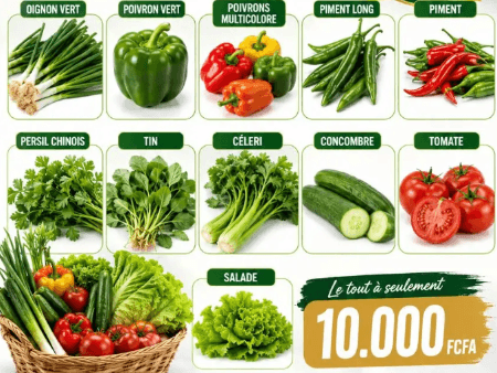 Pack de Crudités Complet