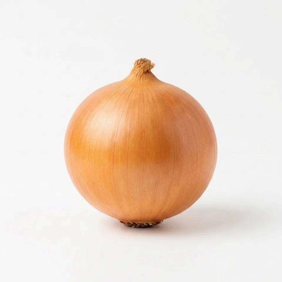 Oignon