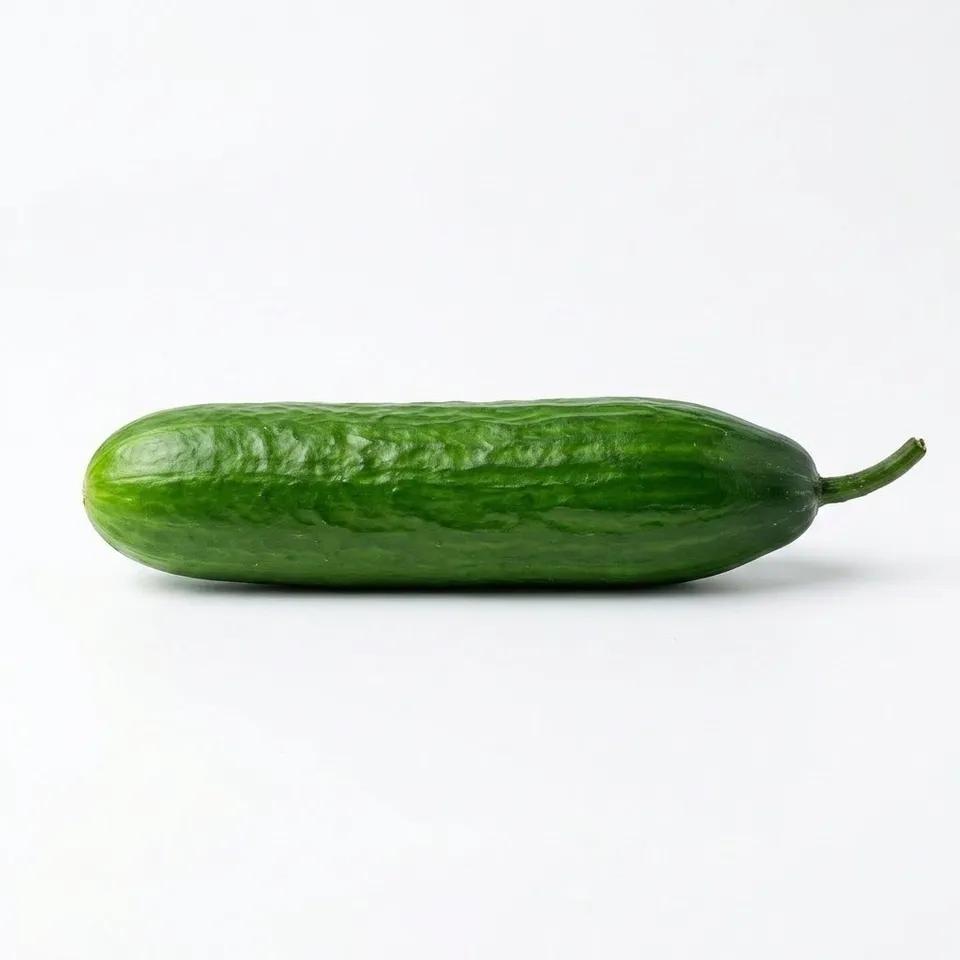 Concombre