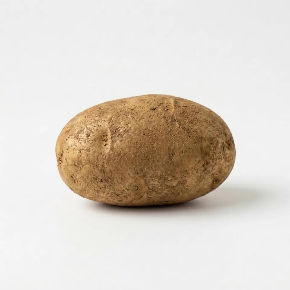 Pomme de terre