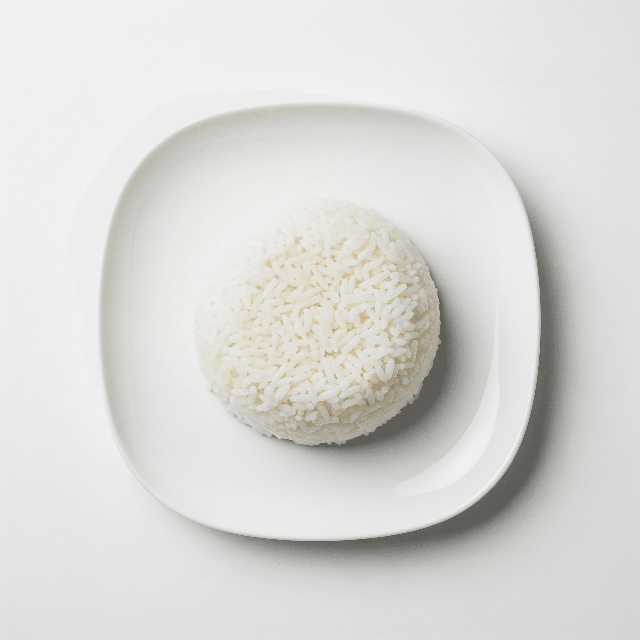 Plat de riz