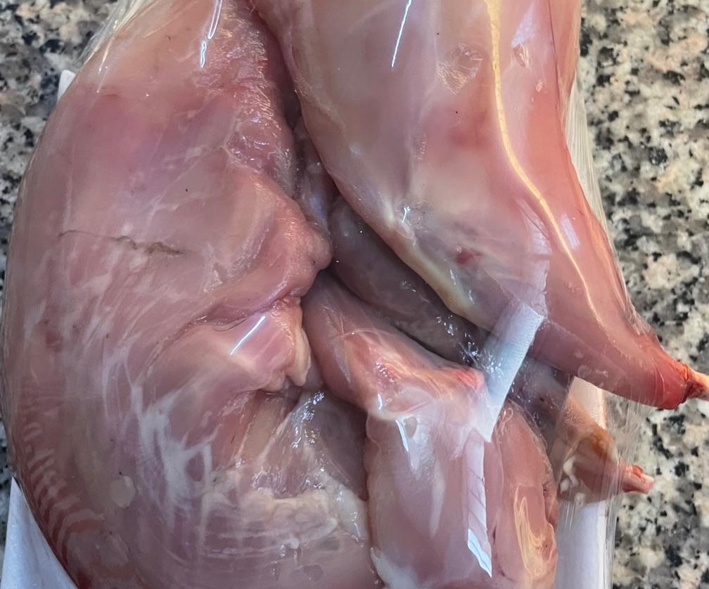 Lapin