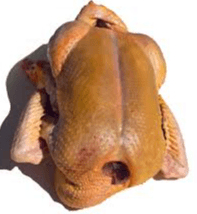 Canard
