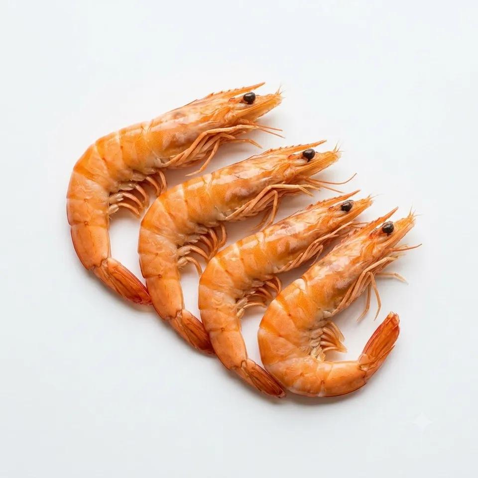 Crevettes royales