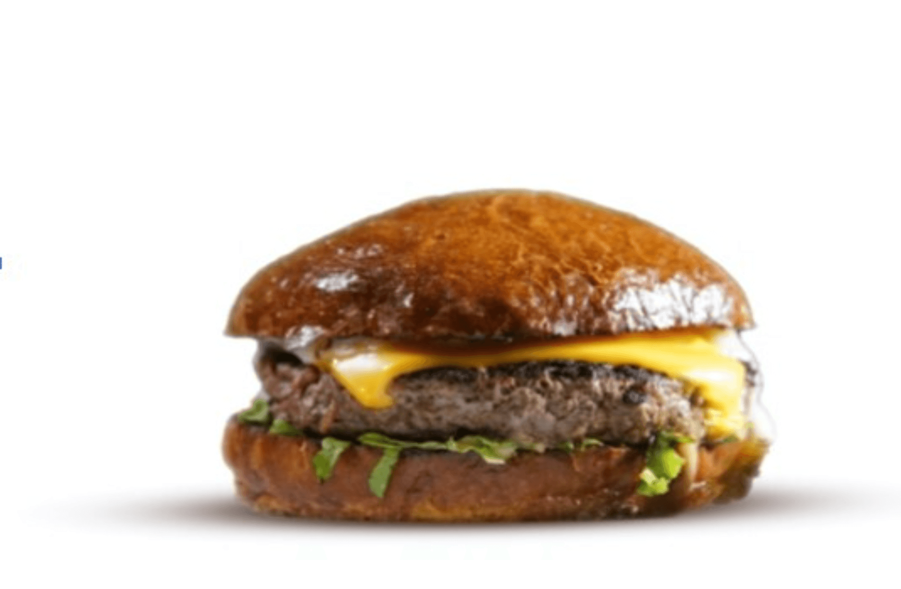 Cheese Burger