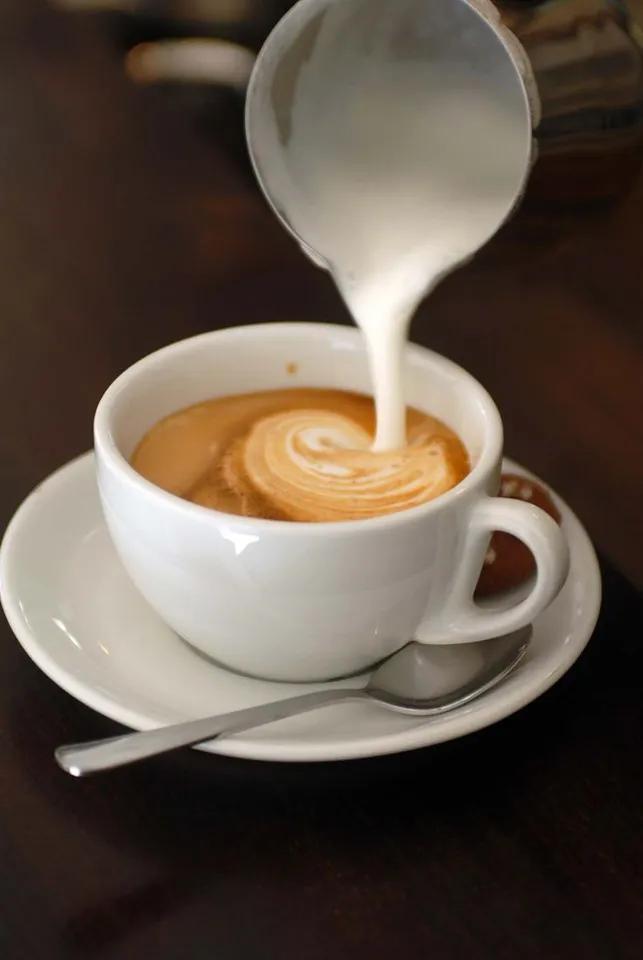 Cappuccino Milk