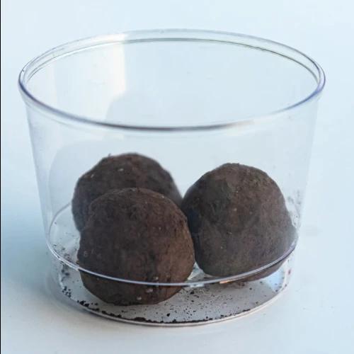 Walnut Power