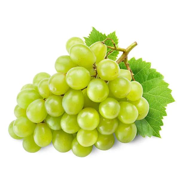Radis blanc