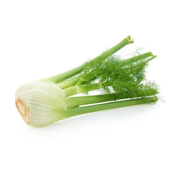 Fenouil