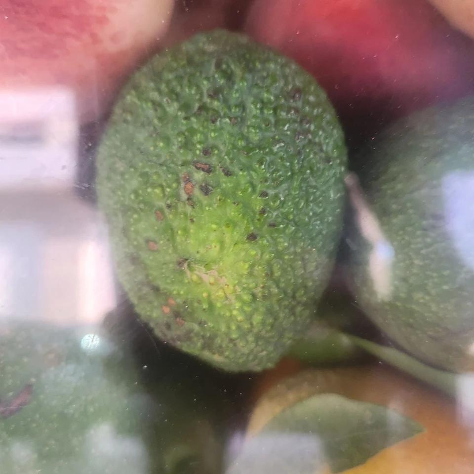 Jus avocat