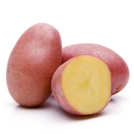 Patate Douce (kg)