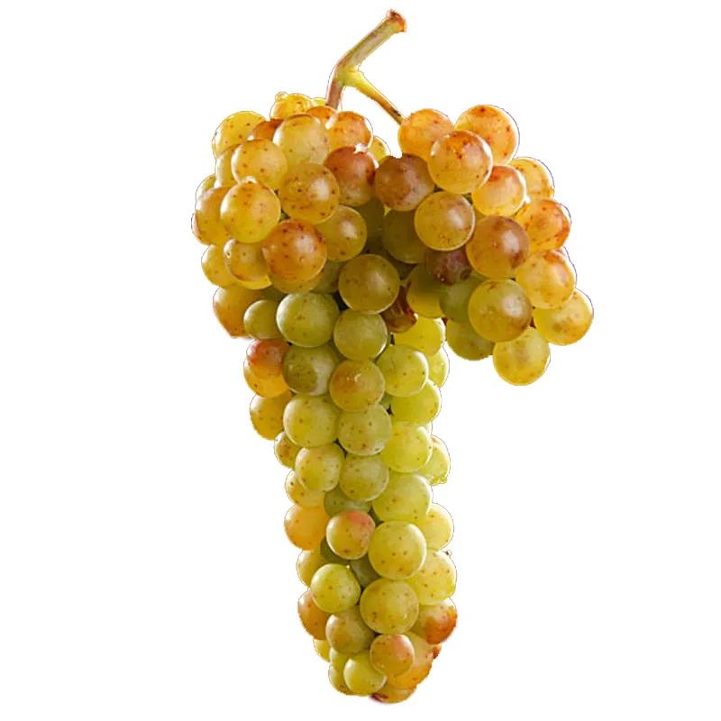 Raisin Muscat (kg)