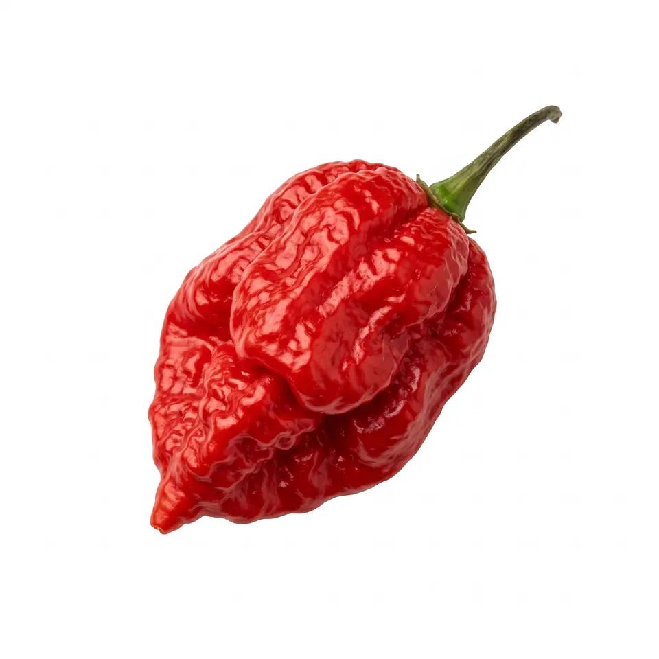 Piment Rouge