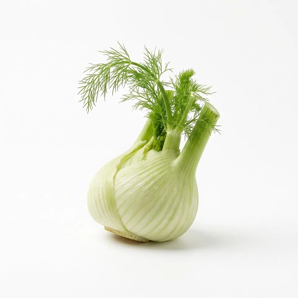 Fenouil