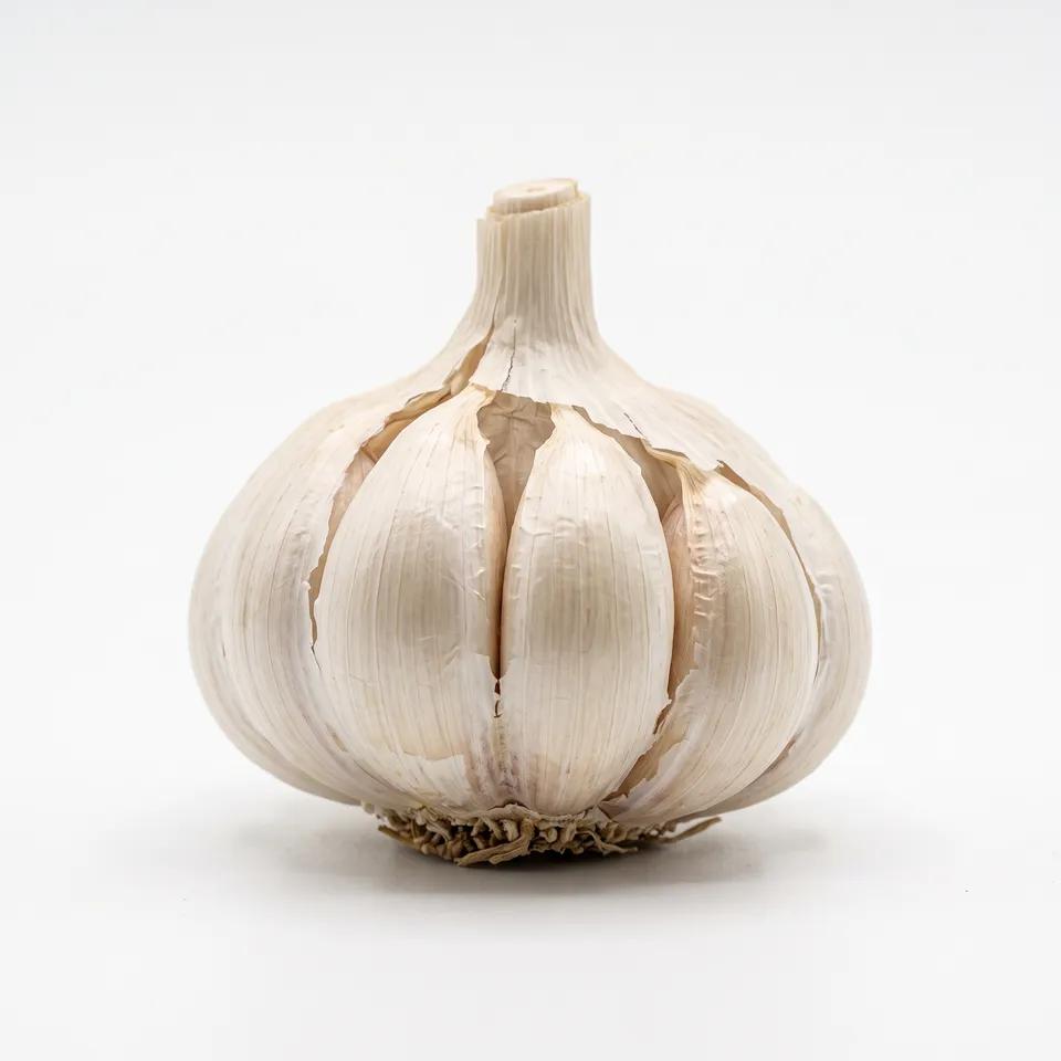 Concombre