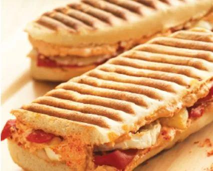 Panini