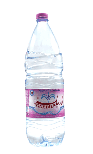 EAU MINERALE GUEDILA 2L