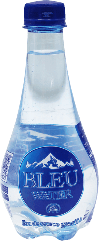 BLEU WATER Eau de source gazéifiée 0,33cl
